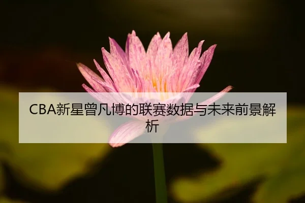 xin-xing-ceng-fan-bo-de-lian-sai-shu-ju-yu-wei-lai-qian-jing-jie-xi-2-601.jpg